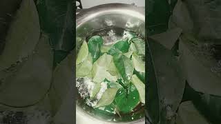 Curry leaves health benefits🤗👏👏in tamilshortvideoshortsfeed shortshealthbenefits ytshorts [upl. by Alyl]