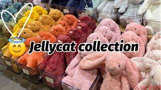 JELLYCAT COLLECTION ✨ SHOULD I GET MORE jellycat haul subscribe [upl. by Haramat490]