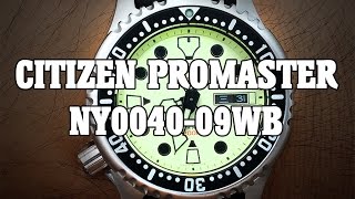 Citizen Promaster NY004009WB  Review Measurements and Lume [upl. by Alida659]