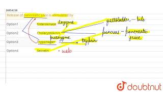 Release of pancreatic juice is stimulated by [upl. by Dearr]