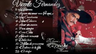 Vicente Fernandez Album para siempre [upl. by Ztirf]