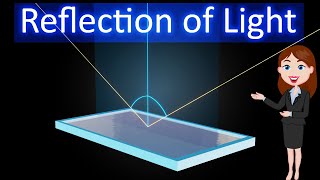 Reflection of light  Animated explanation in hindi  Ray Optics  Physics  12th class [upl. by Staffan592]