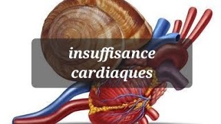 PHYSIOPATHOLOGIE DE LINSUFFISANCE CARDIAQUE [upl. by Ahseetal]