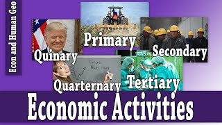 Economic Activities Primary Secondary Tertiary Quaternary Quinary AP Human Geography [upl. by Loesceke340]