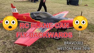 INSANE RC PLANE FLYING BACKWARDS 4D Delro Raven  Weston Park 2018 [upl. by Grimbald203]