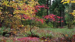 20241102 Trillium Springs Update [upl. by Emmie730]