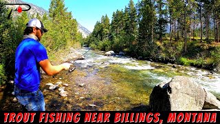 Trout Fishing Near Billings [upl. by Aiciles262]