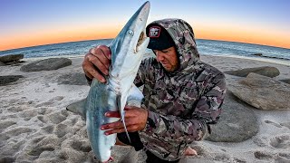 3 Days Solo On a Remote Beach  Cooking What Ever I Catch amp More [upl. by Cari463]