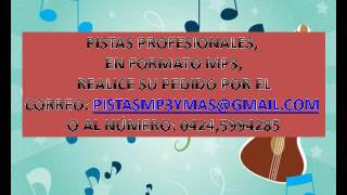 PISTA SILVERIO PEREZ  PASODOBLE [upl. by Purington571]