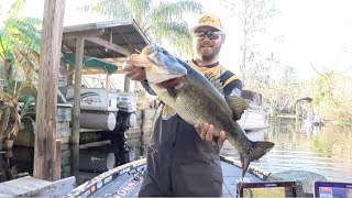 2019 Bassmaster Elite Series at St Johns River [upl. by Eilasor92]