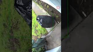 Door Camera Captures Thief Disguised as Trash Bag Stealing Package [upl. by Sivel]