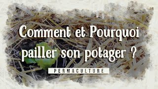 Comment et pourquoi pailler son potager [upl. by Jann527]