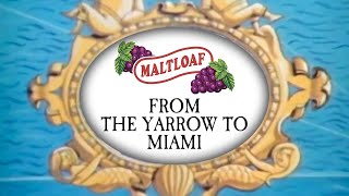 From the Yarrow to Miami [upl. by Yelsiap96]