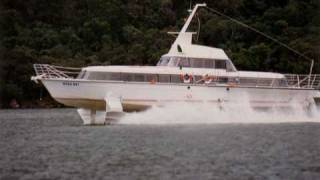 Sydney Hydrofoil Manu Wai [upl. by Aleen]