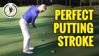 GOLF PUTTING TIPS  THE PERFECT GOLF PUTTING STROKE TECHNIQUE [upl. by Ahsed135]