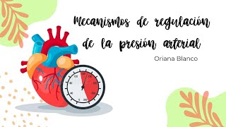 MECANISMOS DE REGULACIÓN DE LA PRESIÓN ARTERIAL Sistema renina angiotensina aldosterona [upl. by Trauts]