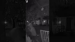 Theft Caught on Camera Intruder Enters Property  Real CCTV Footage [upl. by Lucy]