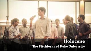 Bon Iver  Holocene Duke Pitchforks A cappella [upl. by Christalle295]