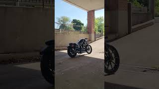 BRUTAL LEGENDARY SOUND Harley Davidson Sportster Iron 883 iron883 [upl. by Ateuqram443]