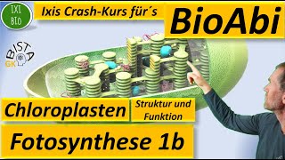 Fotosynthese 1b  Chloroplast funktionale Angepasstheiten  beschriftete Skizze  Bau und Funktion [upl. by Doowrehs]