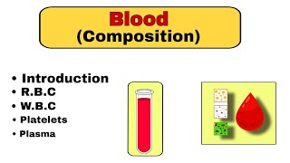 Blood Anatomy and Physiology  Composition of the Blood  education science [upl. by Hairu896]