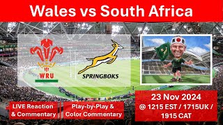 Wales vs South Africa Springboks  Autumn Rugby Internationals  23 Nov 2024 [upl. by Oeflein]