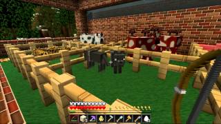 Soartex Fanver Texture Pack Review Minecraft 131 [upl. by Huskamp]