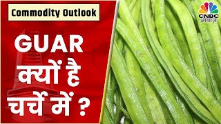 Guar Seed Share News 100 या 70 लाख बोरी है पैदावार निवेशकों की कैसी हो तैयारी  Commodity Outlook [upl. by Kerrie895]