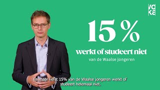 Vlaanderen vs Wallonië onderwijs [upl. by Frissell]