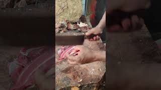 Cow Meat Process Excellent Butcher in Bangladesh trending shorts [upl. by Aiciled]