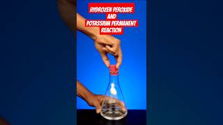 HYDROZEN PEROXIDE AND POTASSIUM PERMANENT COLL EXPERIMENTexperiment shorts shortsfeed [upl. by Munn]