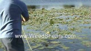 POND WEED CUTTER for removing MILFOIL HYDRILLA CATTAIL LILY PADS [upl. by Niveb828]