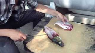 How to Fillet A WalleyePickerel [upl. by Flo318]