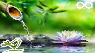 Soothing Relaxation Relaxing Piano Music amp Water Sounds for Sleep Meditation Spa amp Yoga [upl. by Arabele692]