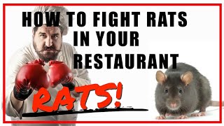 Restaurant Rat Extermination Decontamination Mice Signs infested Dumpster Central FL [upl. by Bancroft]