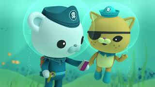 Octonauts and the Whale Shark Full Episode [upl. by Twum]