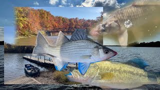 Kansas Fishing Report 102024 [upl. by Laurentia]