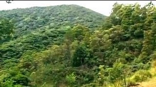 Nilgiris Indias treasure under threat [upl. by Ijies400]