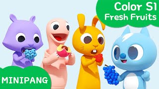 Learn colors with MINIPANG  Color S1  🍎Fresh Fruits  MINIPANG TV 3D Play [upl. by Marshal]