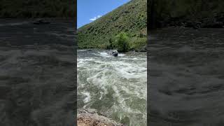 Jet boat on Payette River jetboatlife hamiltonjet boating northriverboats jetboatlife [upl. by Iloj653]