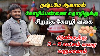 🐓 நோய் பாதிப்பு குறைவு முட்டை உற்பத்தி அதிகம் விரைவில் அதிக எடை லாபத்தை கொட்டி கொடுக்கும் கோழி🐣 [upl. by Eelanna]