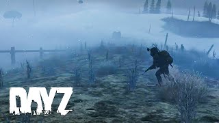 Histoires de DayZ 118 MAX LE DEBUTANT FOU [upl. by Elon]