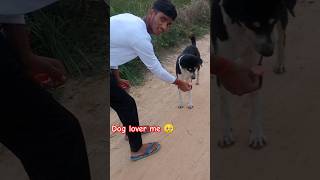 am food give the dog 🐕🥺 dog lover shorts viral ytshorts dog [upl. by Willtrude]