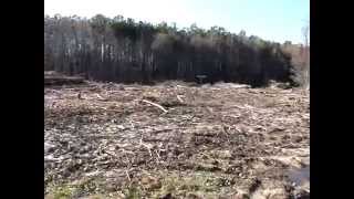 Privy Digging Jamesville NC [upl. by Ynnavoeg847]