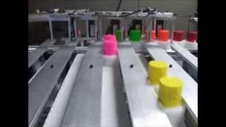 Puffin Automation  High Speed Lane Sorter [upl. by Atnwahsal]