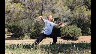 Taijiquan forme Yang 108 mouvements  1ère partie version 3 [upl. by Dib]