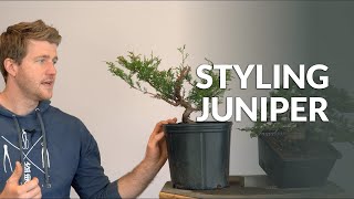 Styling a Juniper Bonsai and Branch selection [upl. by Hada]