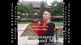 Jincheng Zhang  Integrate I Like Birds Official Instrumental Background Music [upl. by Inele484]