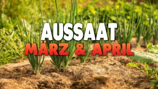 AUSSAAT im März amp April  Gartenzeit [upl. by Marlow]