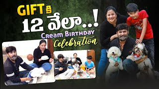 Cream Birthday Celebration  Cake కోసం గోల  Gifts కి 12 వేలా  vlog  Sushma Kiron [upl. by Arimihc]